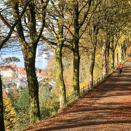 Elegant In Bergen- Private Outdoor Patio And Free Parking *